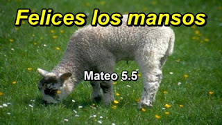 Mansos de coraz�n