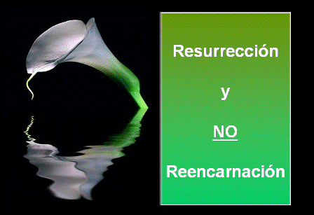 Resurrección Resurrección