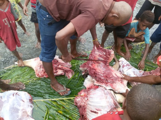 Instituto-del-Verbo-Encarnado-Pap�a-Nueva-Guinea-Misi�n-05